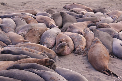 Hát nem édesek? :)