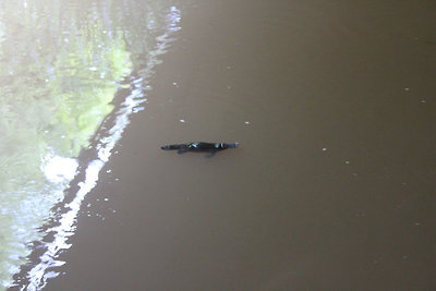 És egy másik is! :)