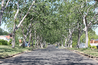 Az utcánk: Carrington St