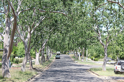 Az utcánk mégegyszer