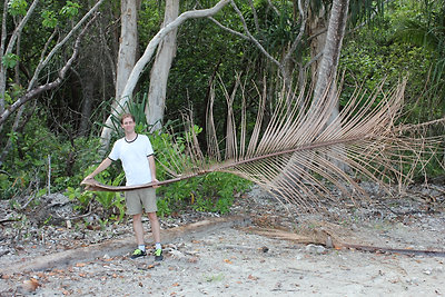 Katinak melege volt és egy jó férj segít ahogy tud!