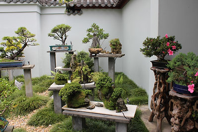 Chinese Garden of Friendship