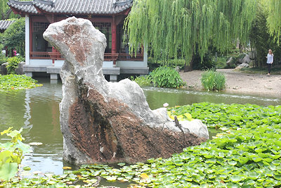 sárkányok a tóban