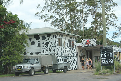 Ökrösfalu! (Mooball) A lámpaoszlopok alja is ökörmintásra volt festve