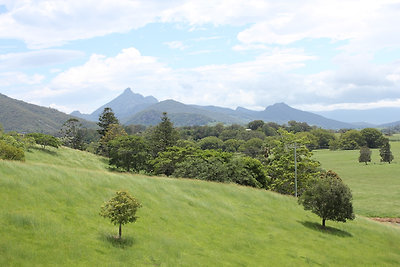 Mt Warning