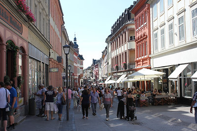 Második nap Heidelbergben