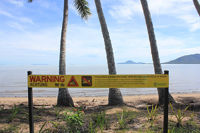 Krokodilveszély kilátással