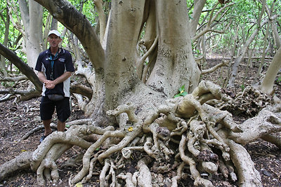 Marcus, aki erre a szigetre jár kempingezni