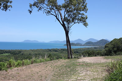 Erre a telekre hamarosan ház épül