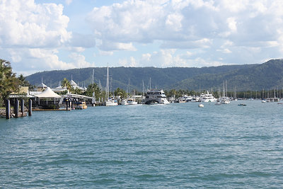 Port Douglas kikötője