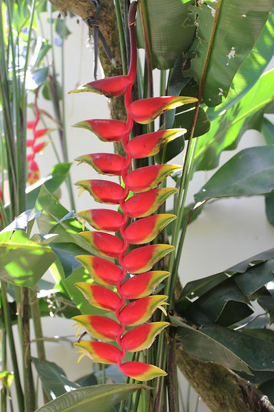 5 hónapig ugyanilyen