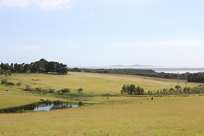 Az egyik első Billabongunk (magyarul mi ez? itató tó?).