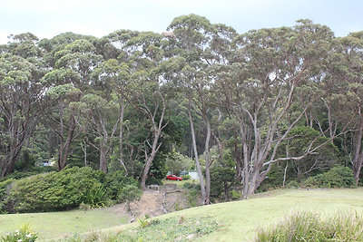 Ford Focus reklám lehetne