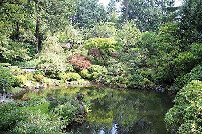 strolling pond garden