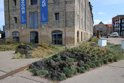 Ez a Noma étterem kis sziklakertje.