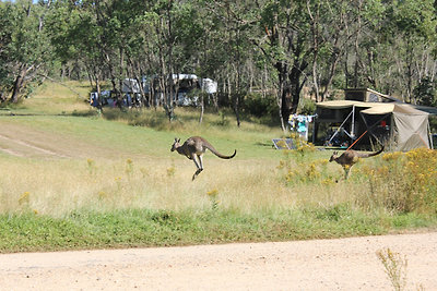 Kemping a nemzeti parkban