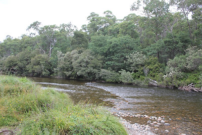 Esti fürdő a patakban