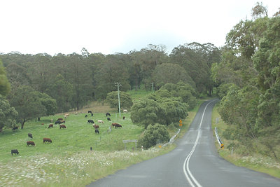 Legelők a fennsíkon