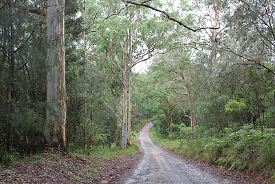 Földút a Platypus Flat kempinghez