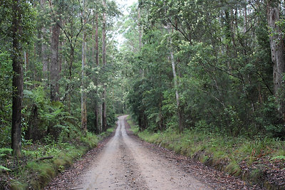 Végül megfutamodtunk
