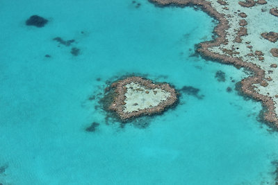 A világ legszívebb alakú korallzátonya :)